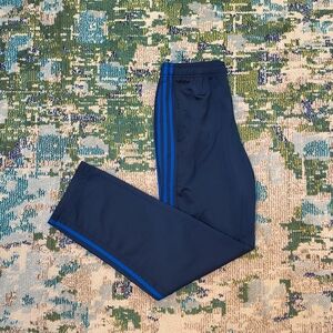 adidas Men's Navy Blue Pants